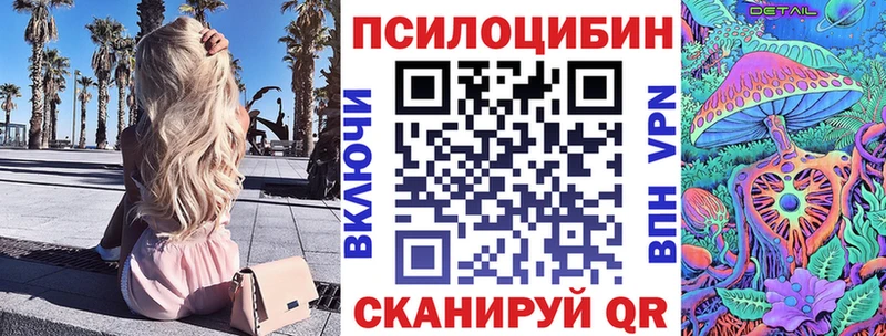 продажа наркотиков  Пионерский  Псилоцибиновые грибы GOLDEN TEACHER 
